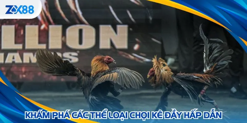 Các hình thức đá gà ZX88 kịch tính và hấp dẫn