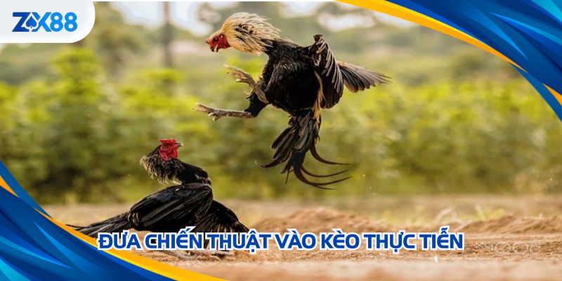 Đưa chiến thuật vào kèo thực tiễn