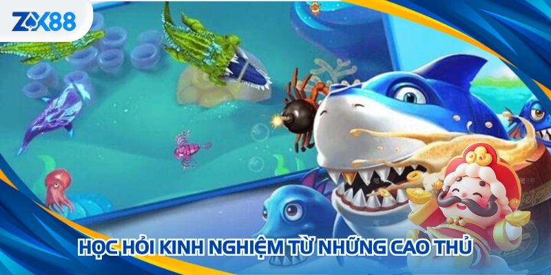 Học hỏi kinh nghiệm từ những cao thủ