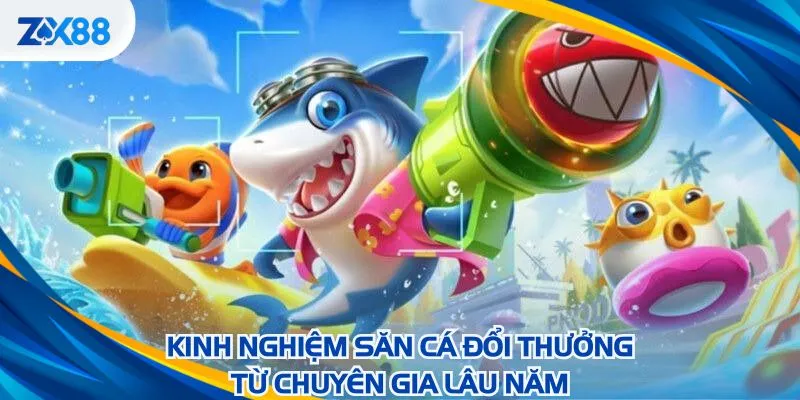Kinh nghiệm săn cá đổi thưởng từ chuyên gia lâu năm