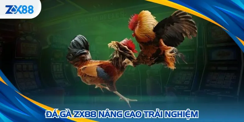 Tận hưởng trọn vẹn tiện ích vượt trội của đá gà ZX88
